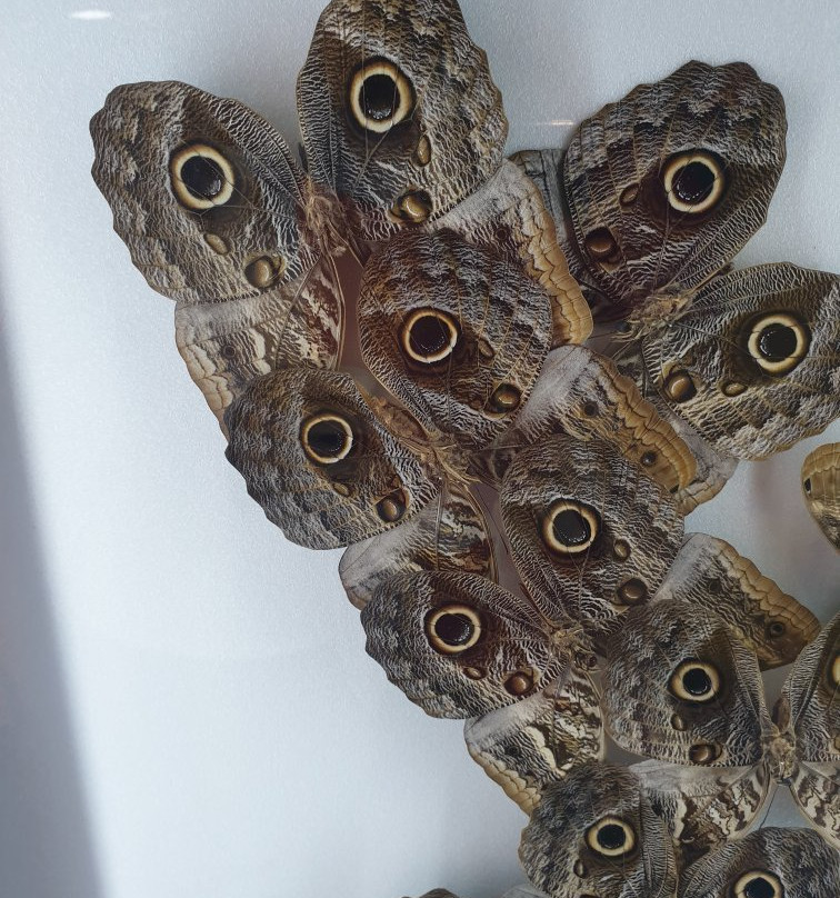 Bandi Land-茂朱郡必去景点