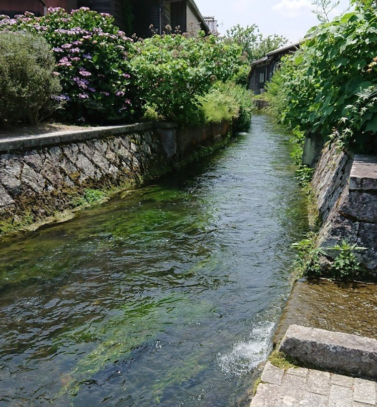 Harie Shozu no Kabata-高岛市必去景点