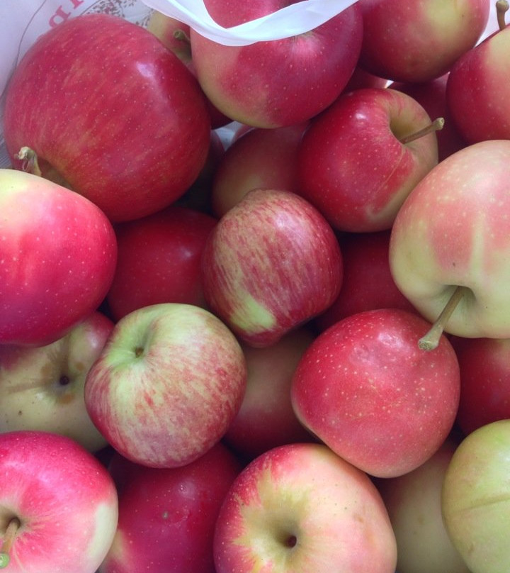 Love Apple Farm-Ghent必去景点