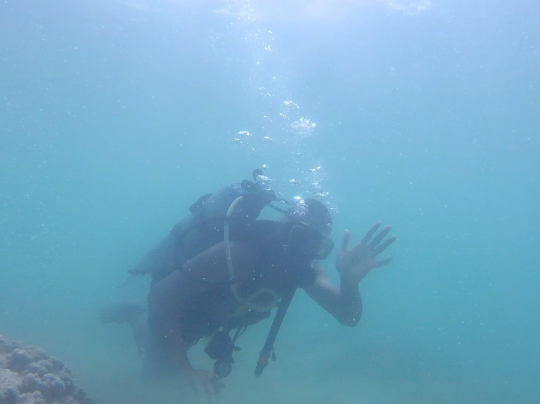 Try Scuba Diving-火奴鲁鲁必去景点