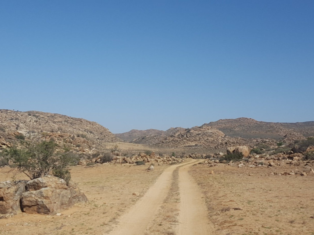 Goegap Nature Reserve-Springbok必去景点