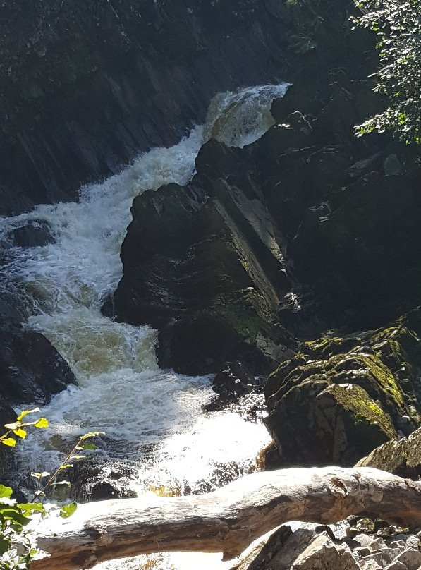 Conwy Falls景点图片
