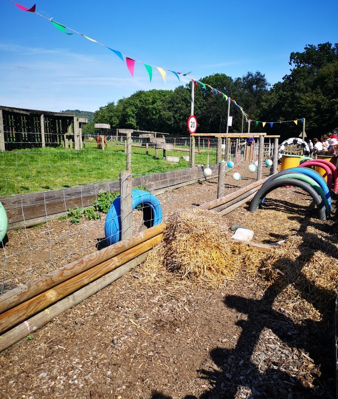 Godstone Farm & Play Barn景点图片