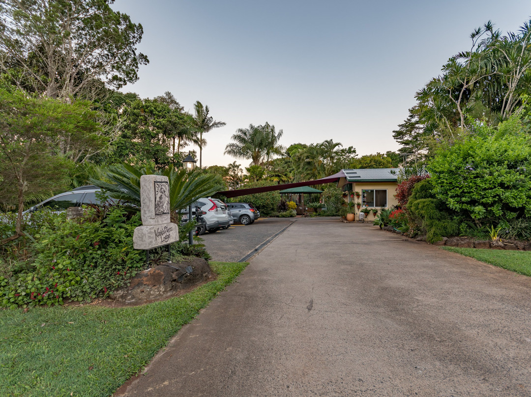 Kookaburra Lodge Motel Yungaburra主图