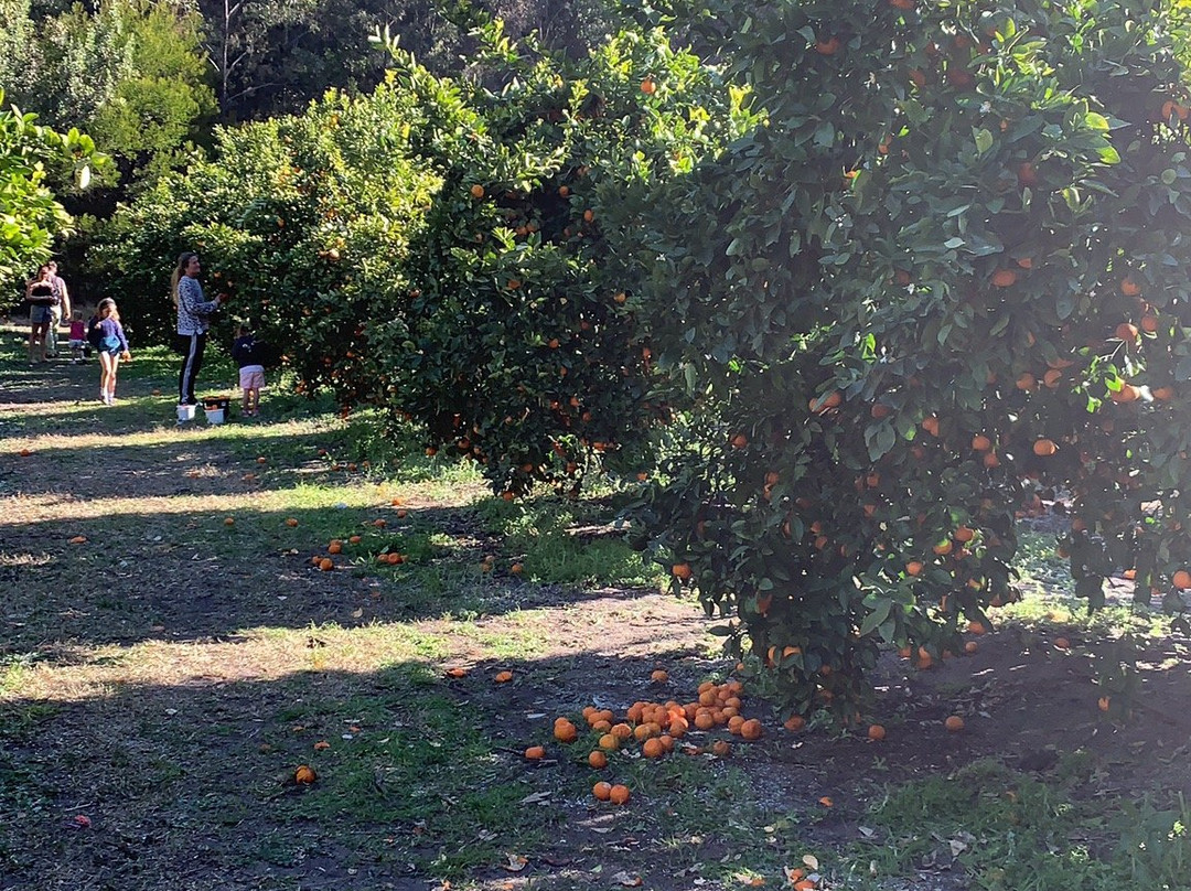 Watkins Orchard景点图片