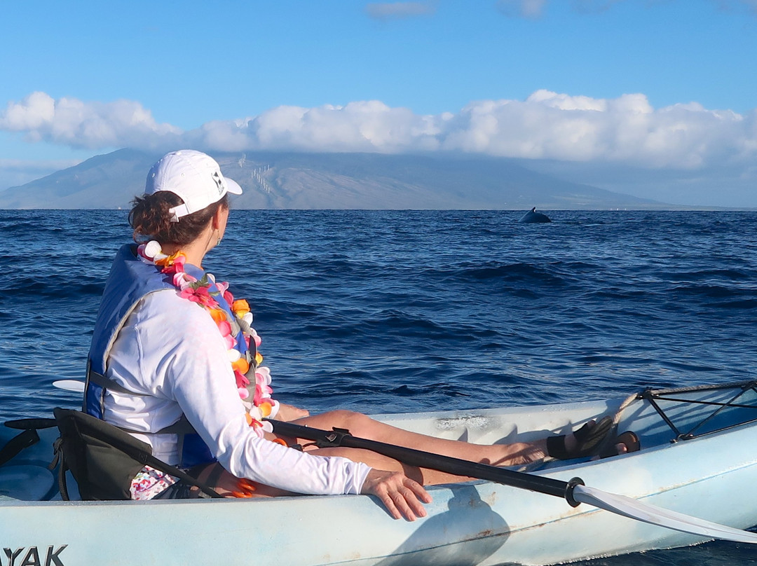 Paddle On! Maui Private Tours景点图片