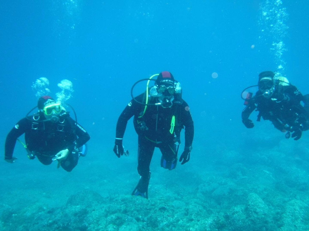 Diveria Diving Center景点图片