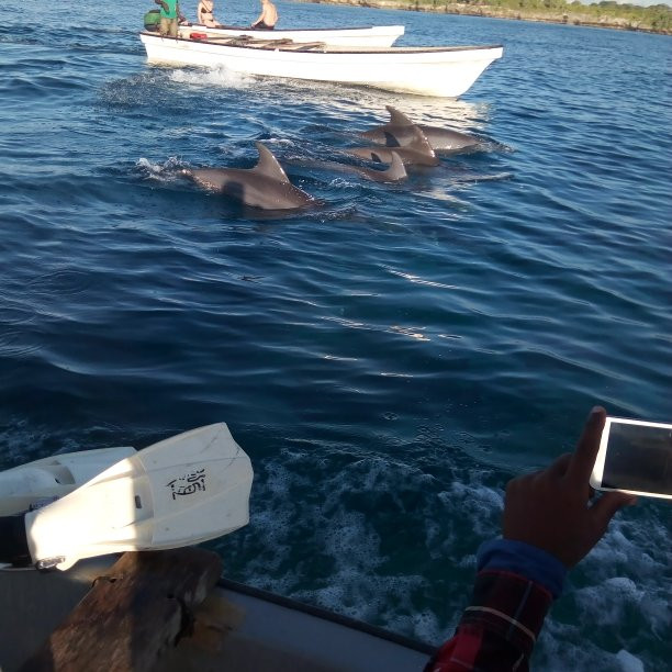 海豚商场-迈阿密必去景点