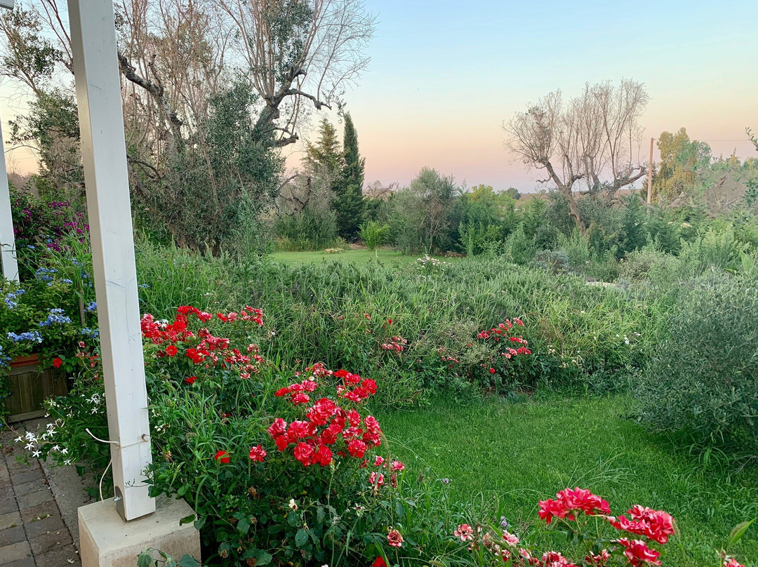 Bio Casale Marchesi主图