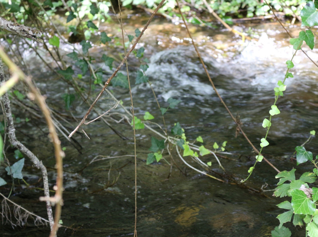Riserva Naturale Regionale Monte Genzana e Alto Gizio-Pettorano sul Gizio必去景点