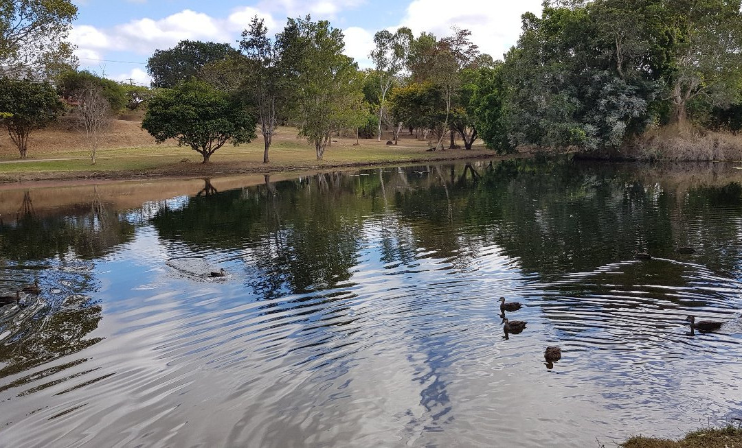Mareeba Tropical Savannah and Wetland Reserve-马里巴必去景点