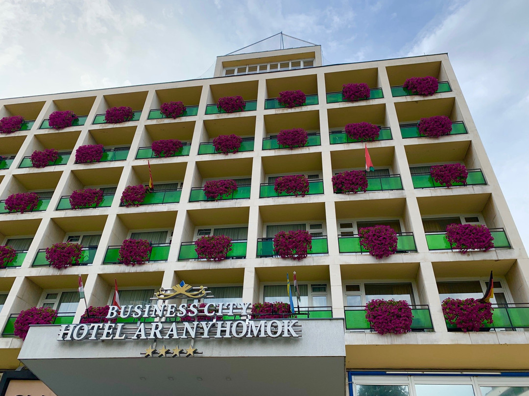 Wellnesshotel Aranyhomok主图