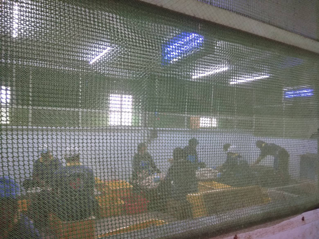 Kilang Satay Ikan Hai Seng Hin-邦喀必去景点