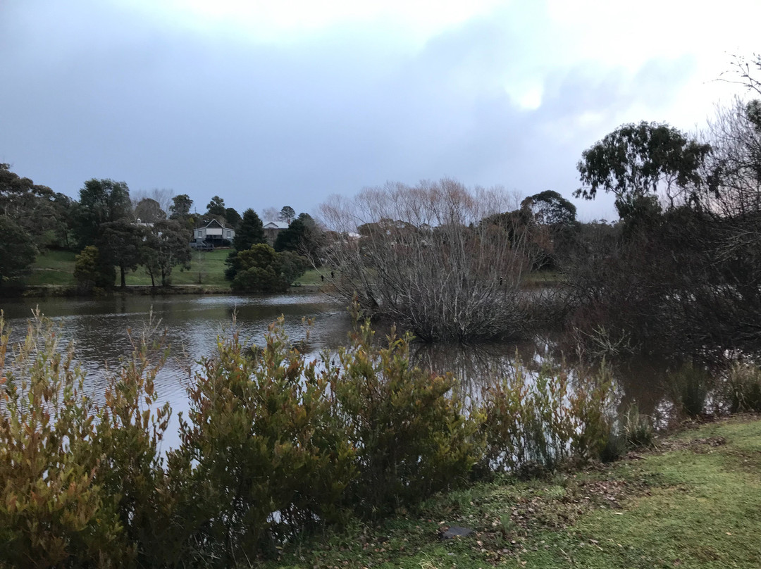 Wombat Flat Mineral Spring-戴尔斯福特必去景点
