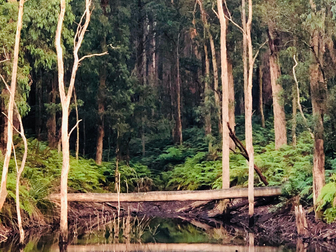 Abide Wellness Retreat-Narbethong必去景点