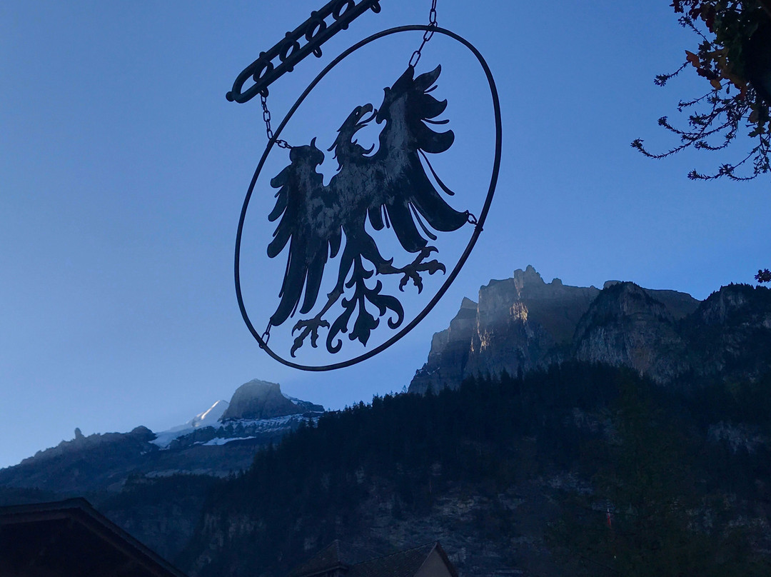 Chalet Hotel Adler主图