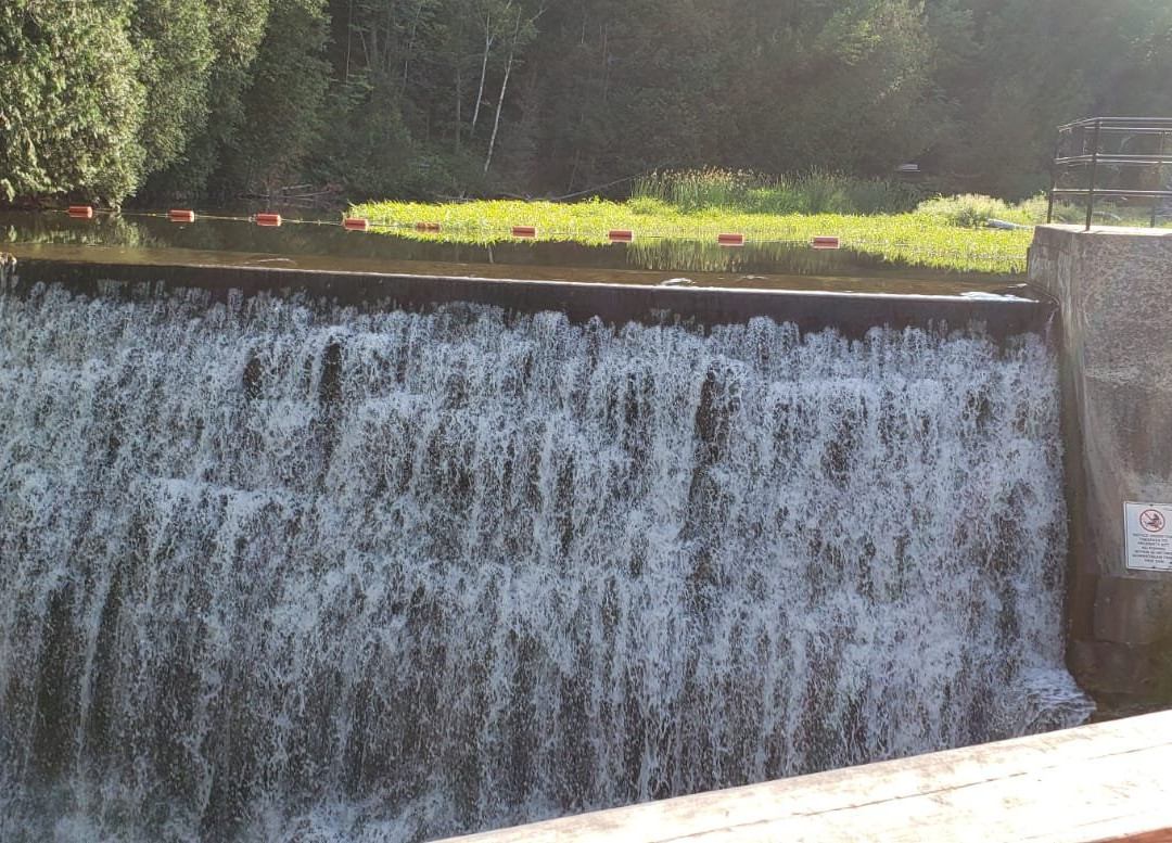 Belfountain Conservation Area-卡利登必去景点