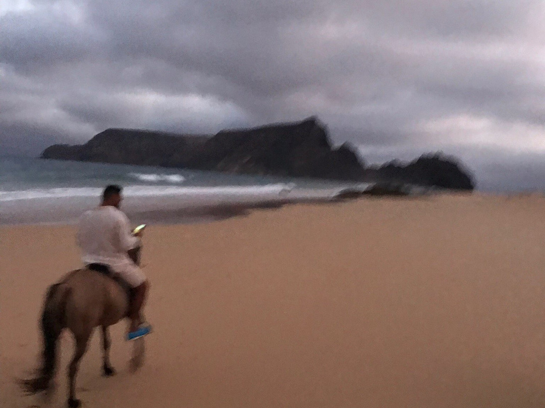 Centro Hípico do Porto Santo-Porto Santo Island必去景点