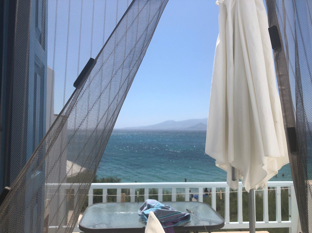 Castello Studios主图