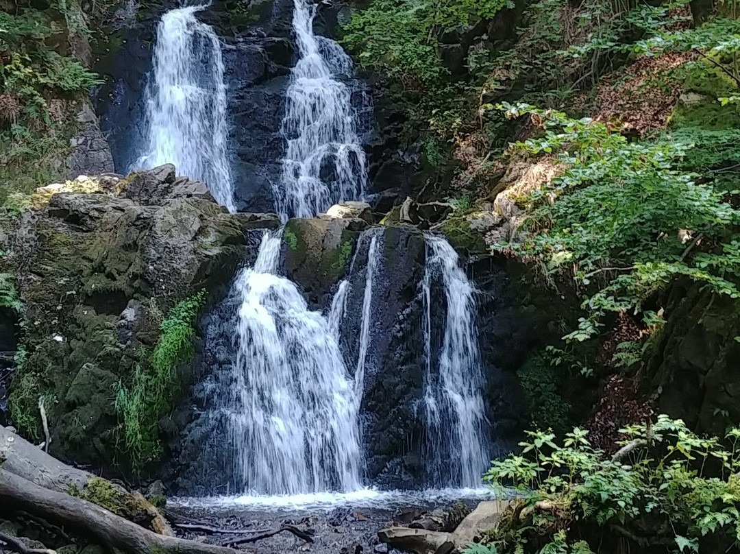 Forsakar Nature Reserve-Degeberga必去景点