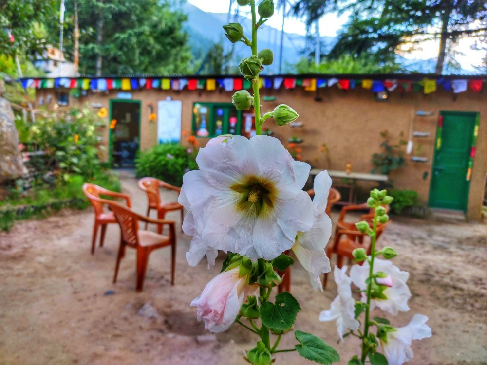 The Monk-Kalpa主图