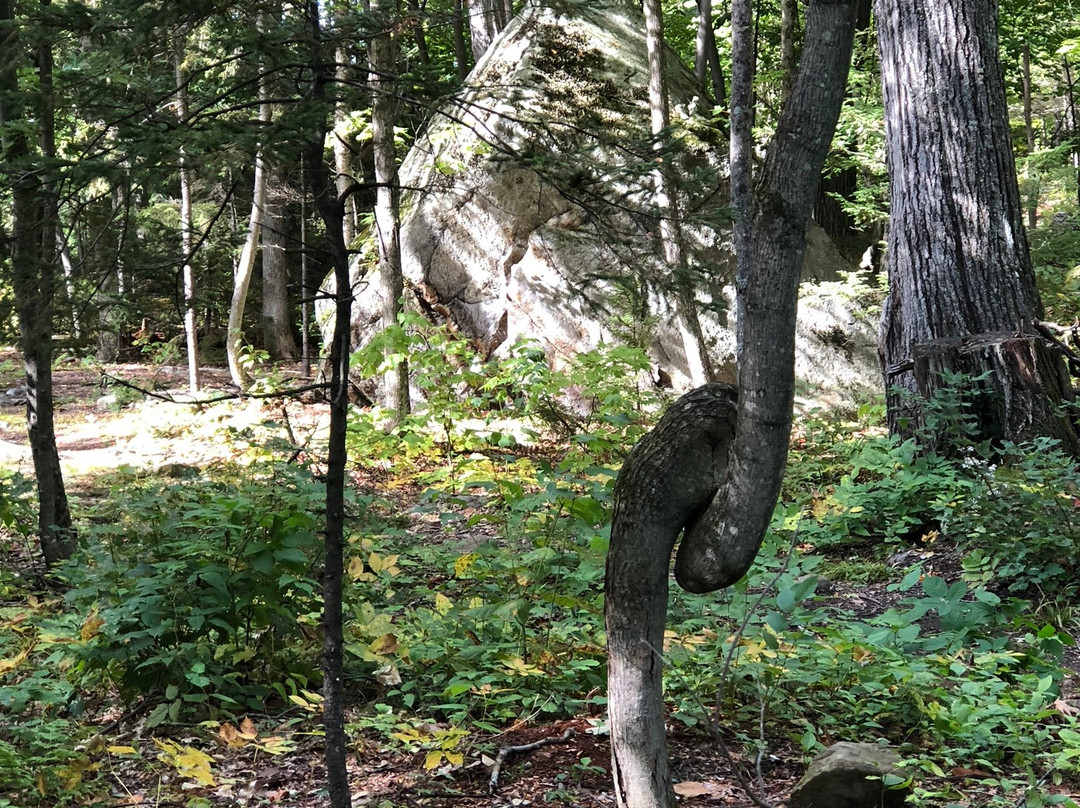 Killington Center Inn & Suites主图