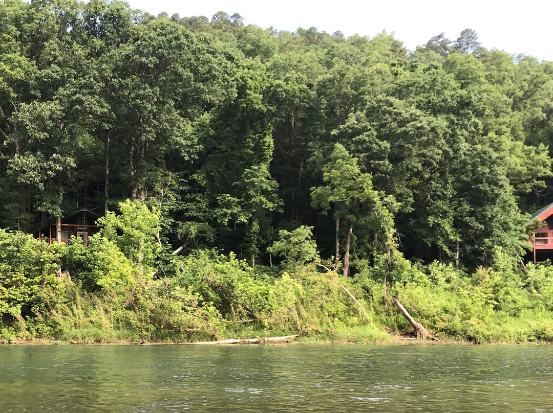 Tree House Cabins at River of Life Farm主图
