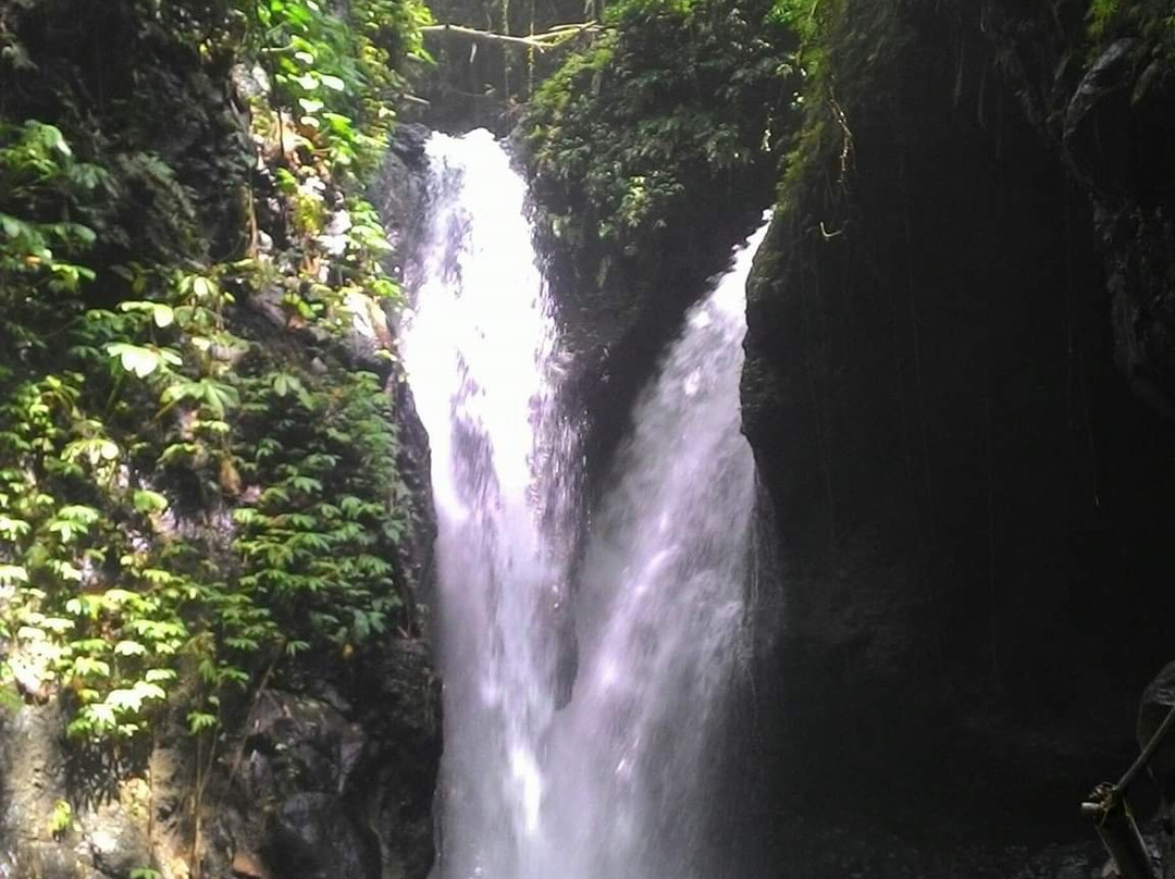 Artha bali tours-乌布必去景点