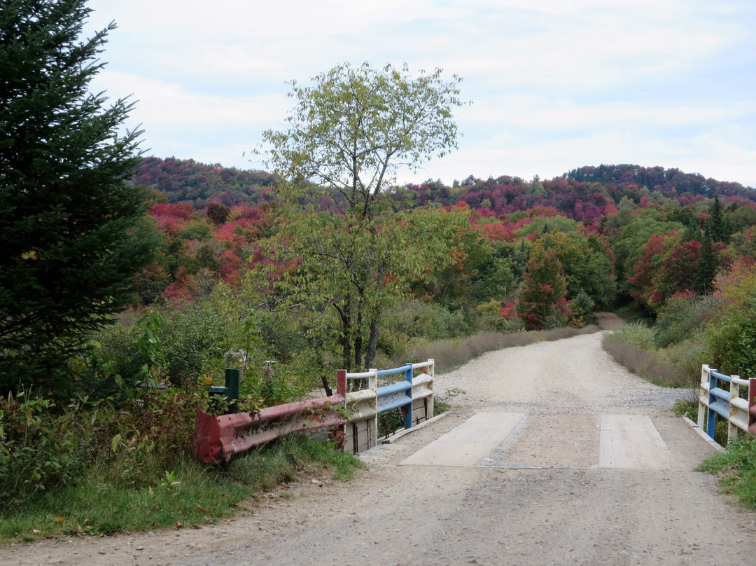 Tickner's Moose River Paddling Trails景点图片