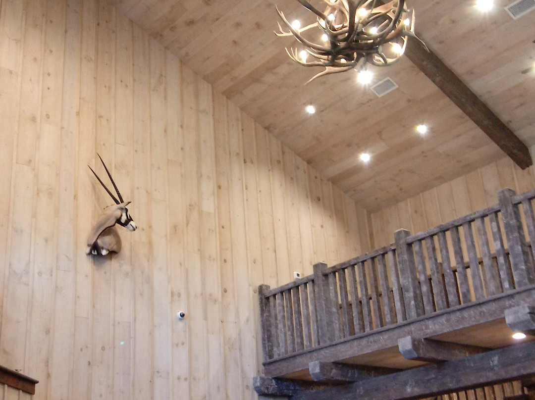 Safari Winery-弗雷德里克斯堡必去景点