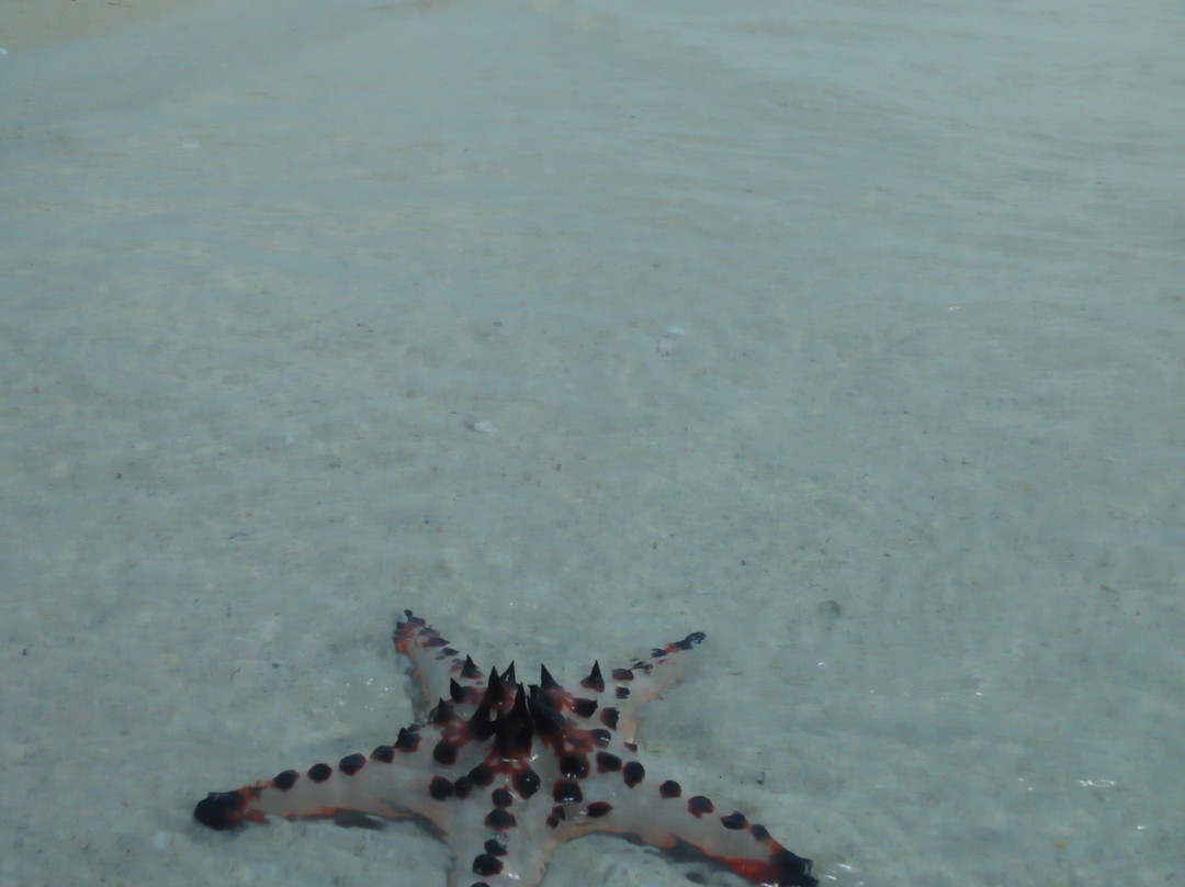 Tanjung Kelayang Beach-勿里洞岛必去景点