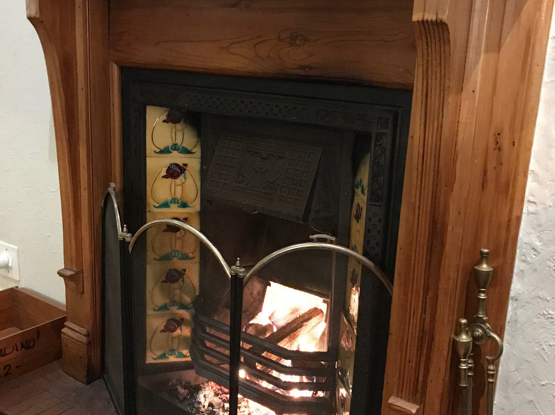 野生橄榄豪华宾馆主图