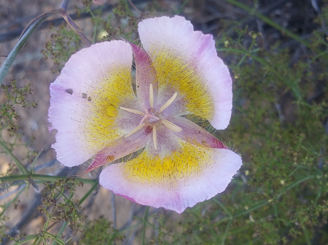 Rocky Peak Trail-西米谷必去景点