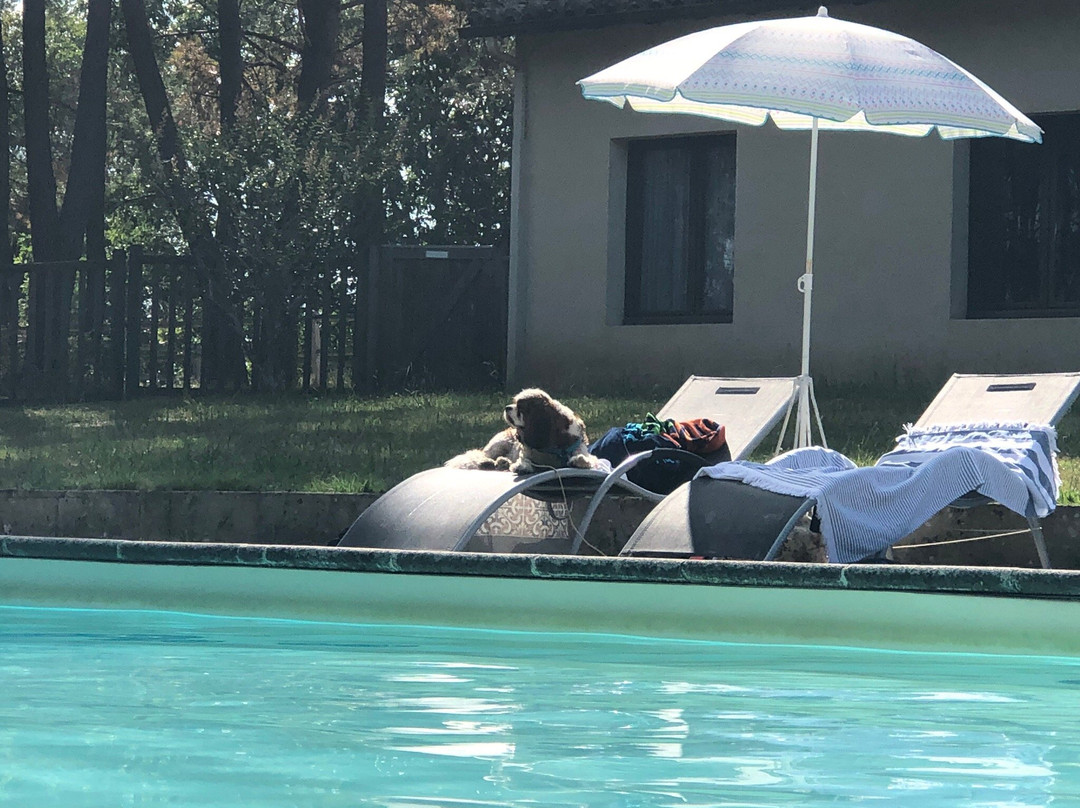 大葡萄园庄园酒店主图