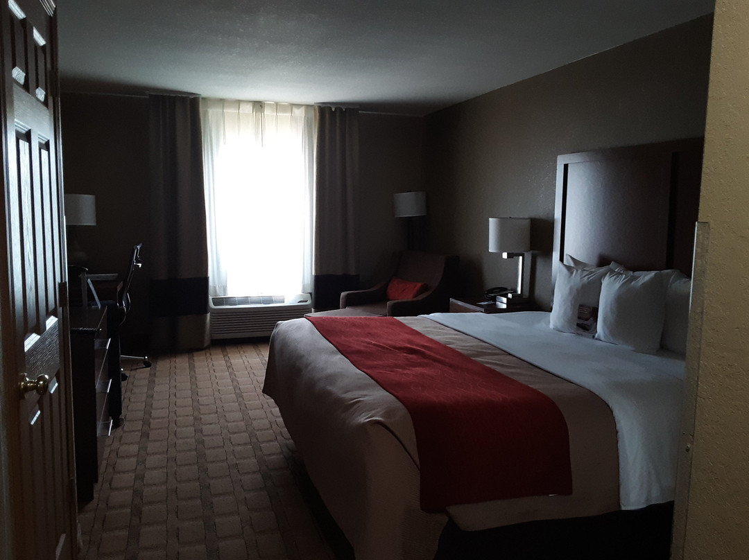 Comfort Inn & Suites Cedar Rapids North - Collins Road主图