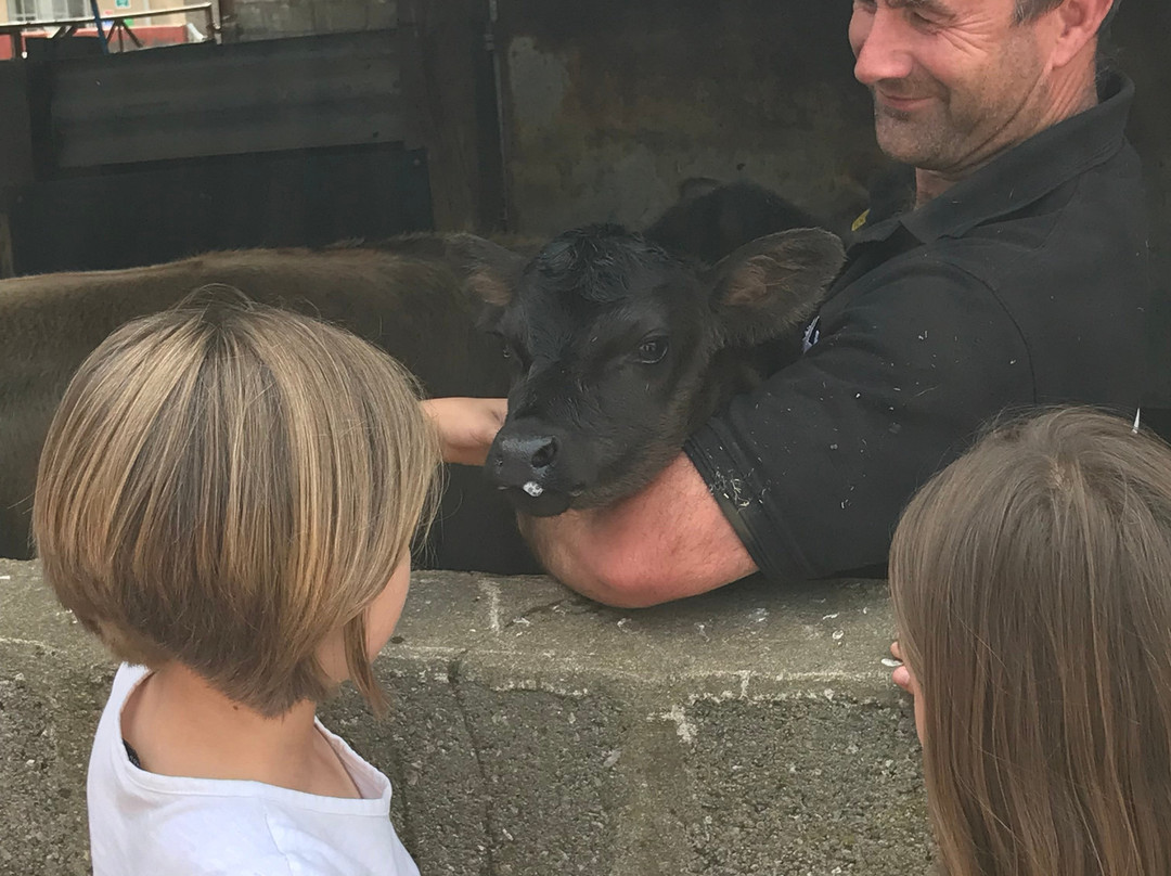 Dartington Dairy @ Old Parsonage Farm-Dartington必去景点