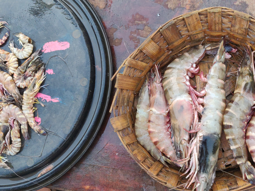 Serene Ravine Homestay主图