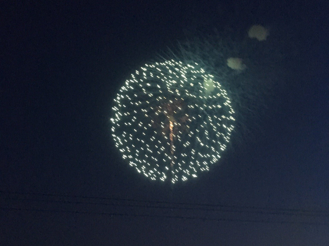 Teganuma Fireworks-柏市必去景点