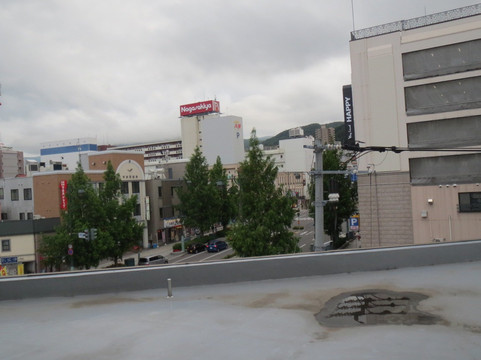 小樽绿色酒店主图