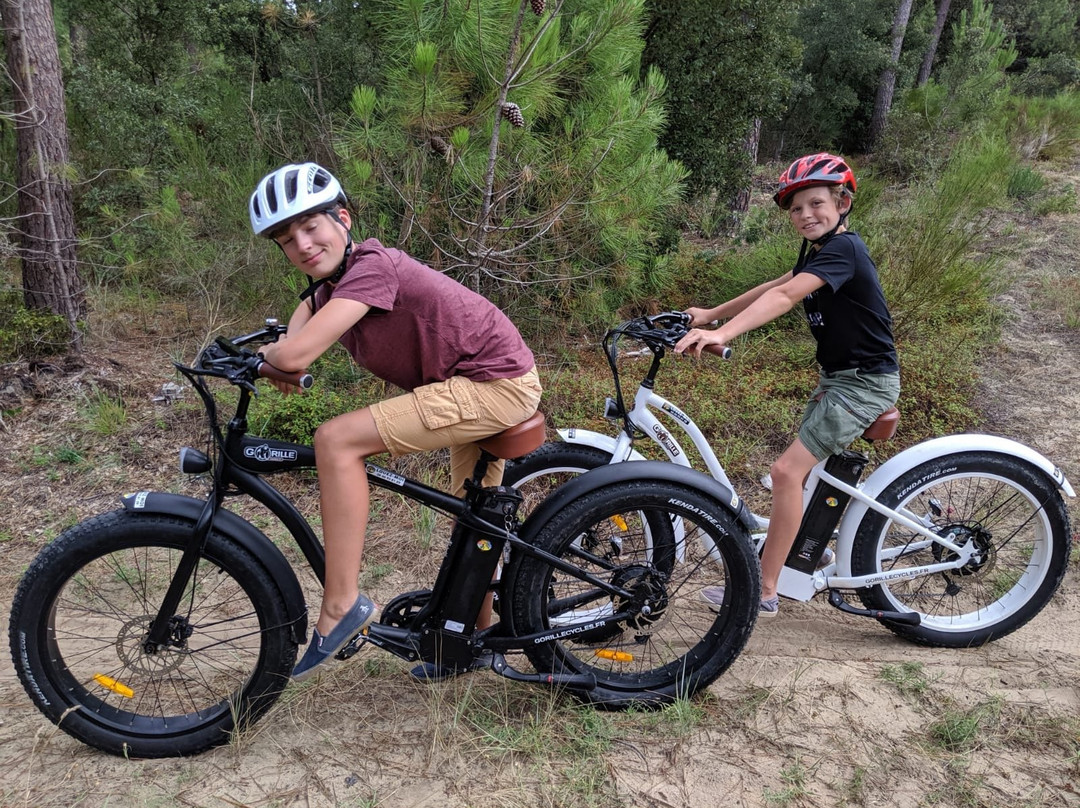 Fat Sand Bikes 17景点图片