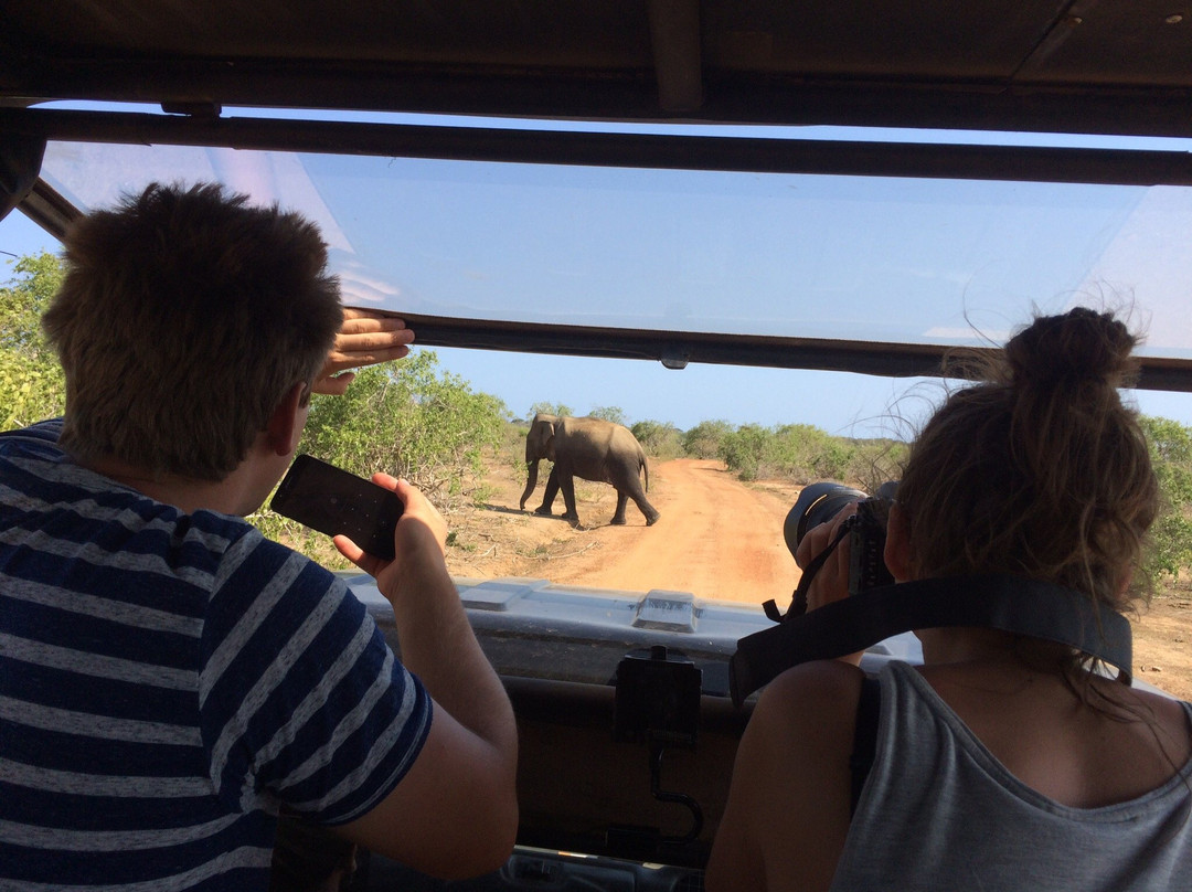 Sri Wild Yala Safari-蒂瑟默哈拉默必去景点