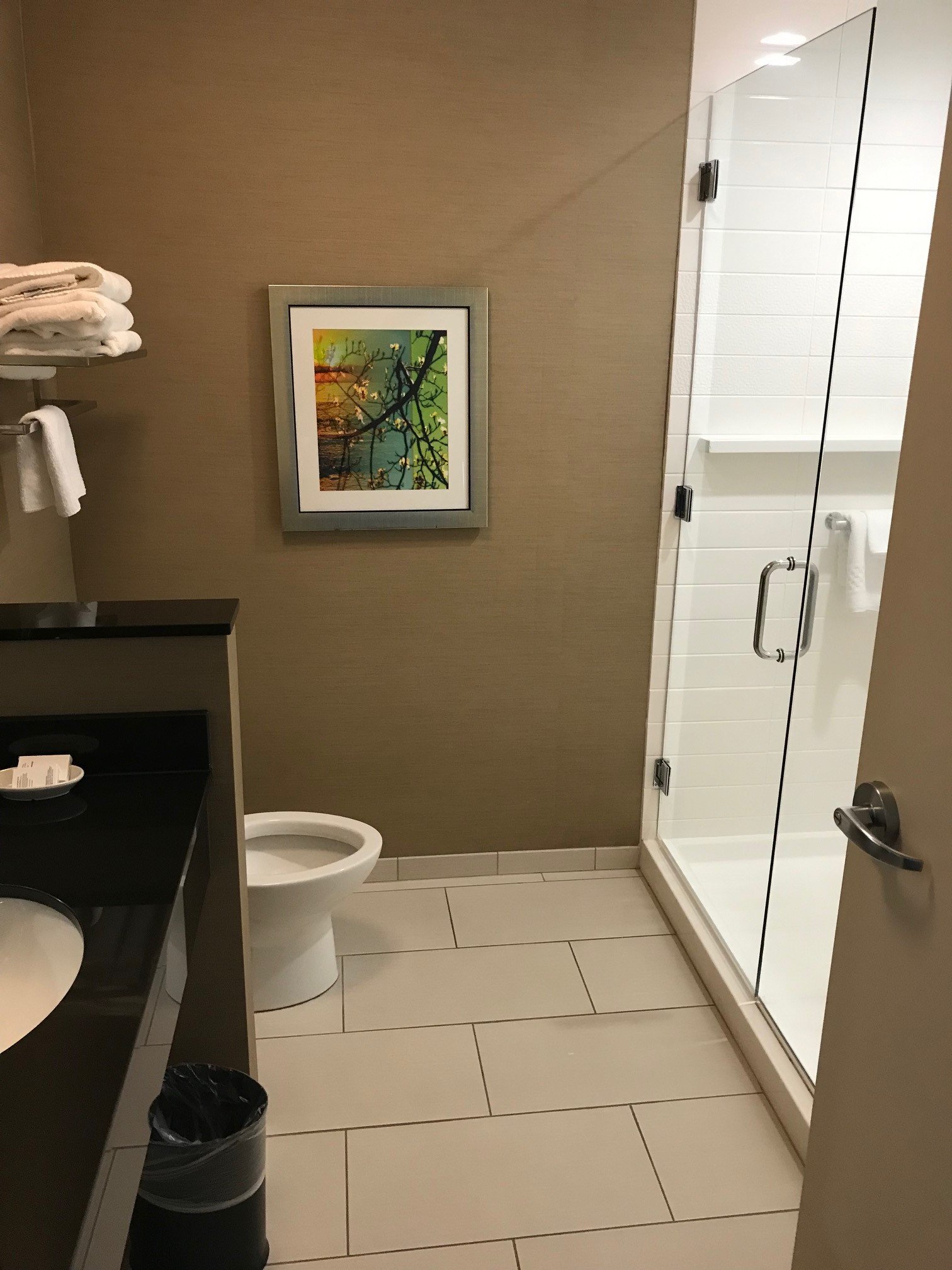 Fairfield Inn & Suites Douglas-浴室