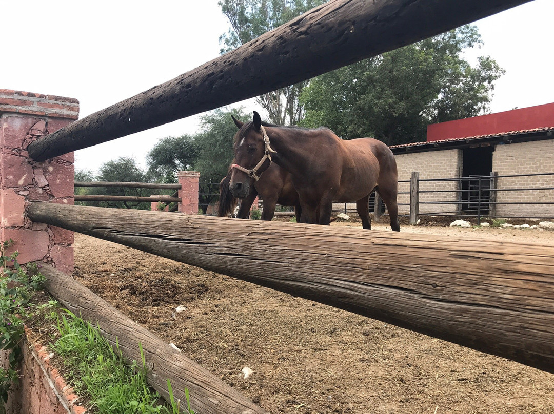 Nirvana Restaurant Retreat主图