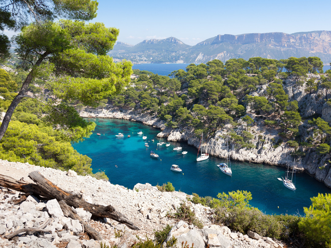 Holiday Inn Toulon - City Centre by IHG主图