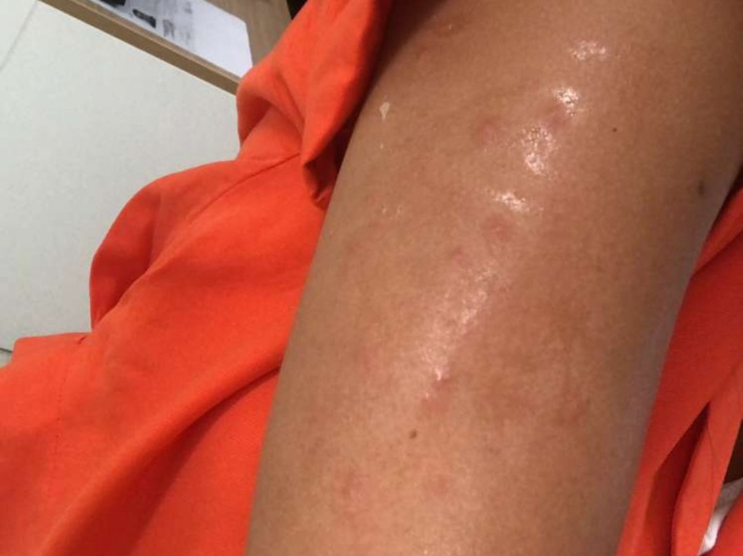 Le Relais de l'Abbaye主图