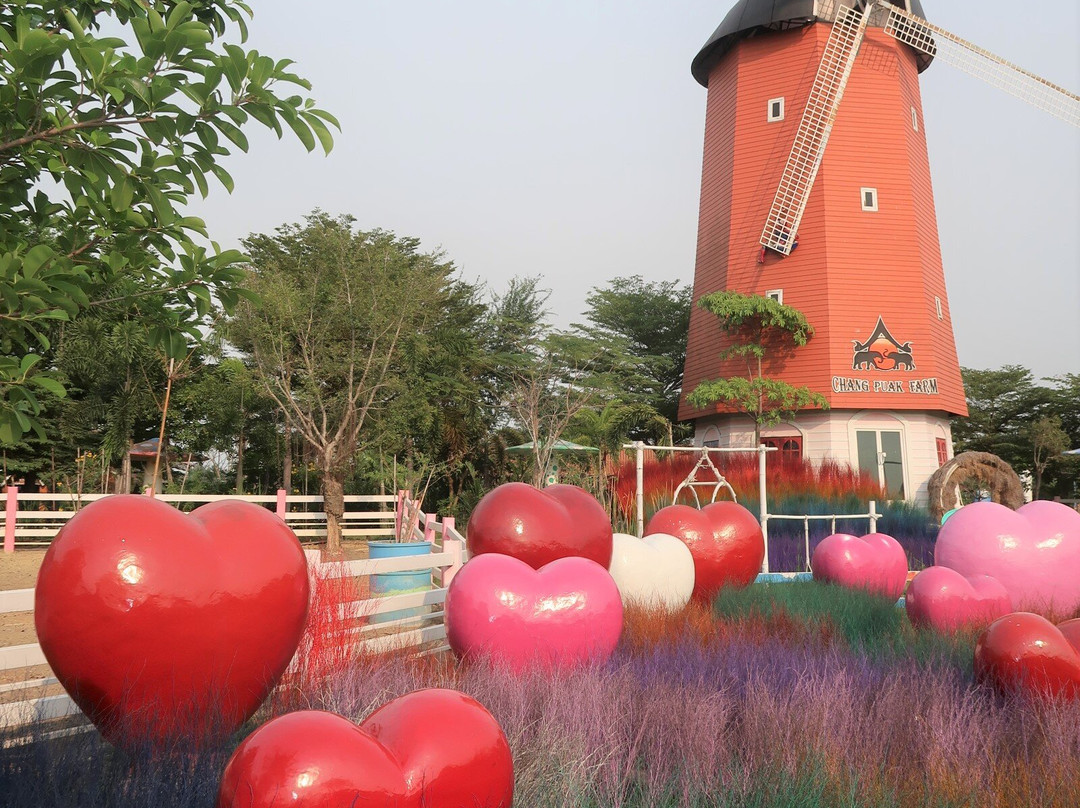 White Elephant Farm Damnoen Saduak景点图片