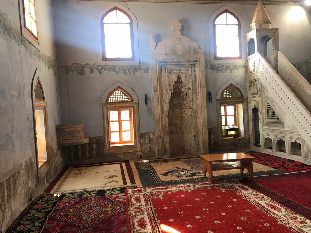 Hadzi-Kurt Mosque (Tabacica)景点图片