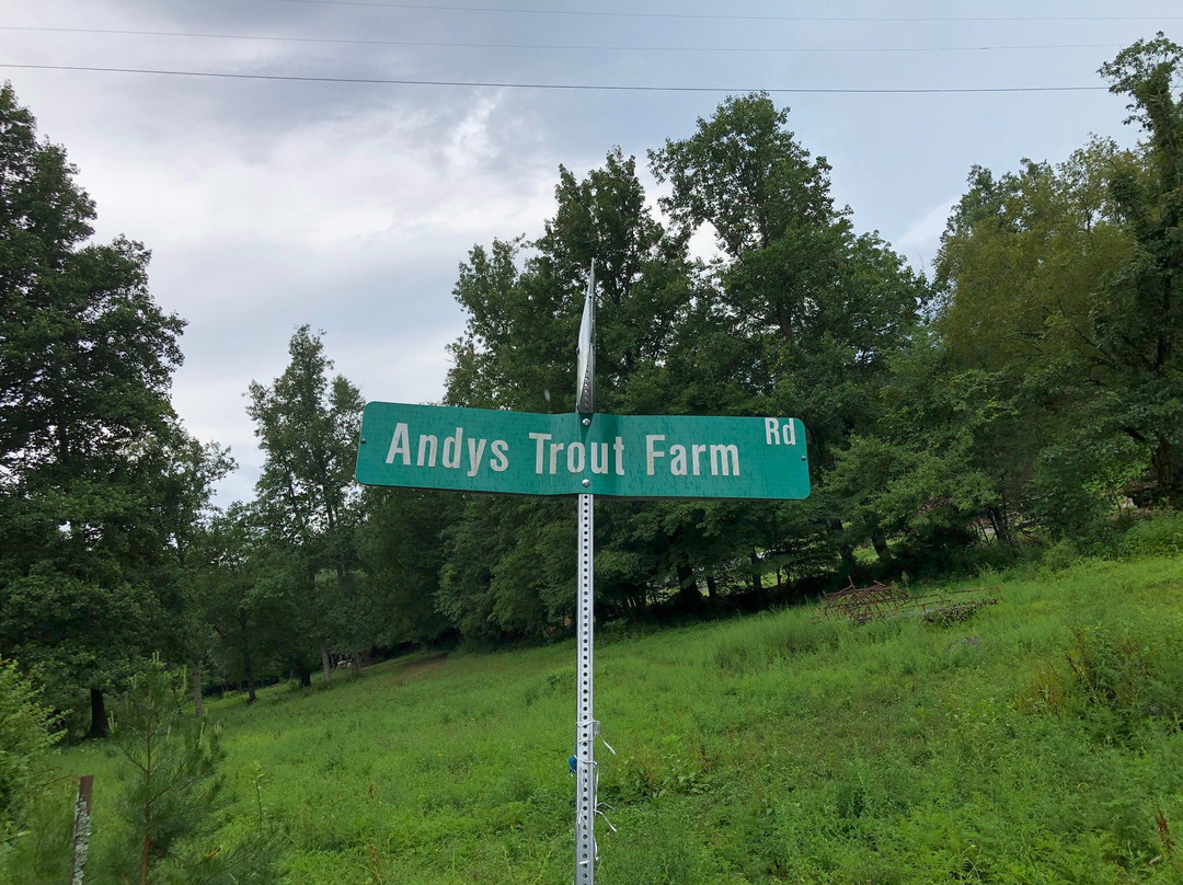 Andy's Trout Farm景点图片