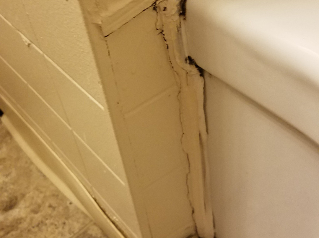 Maple Leaf Motel主图