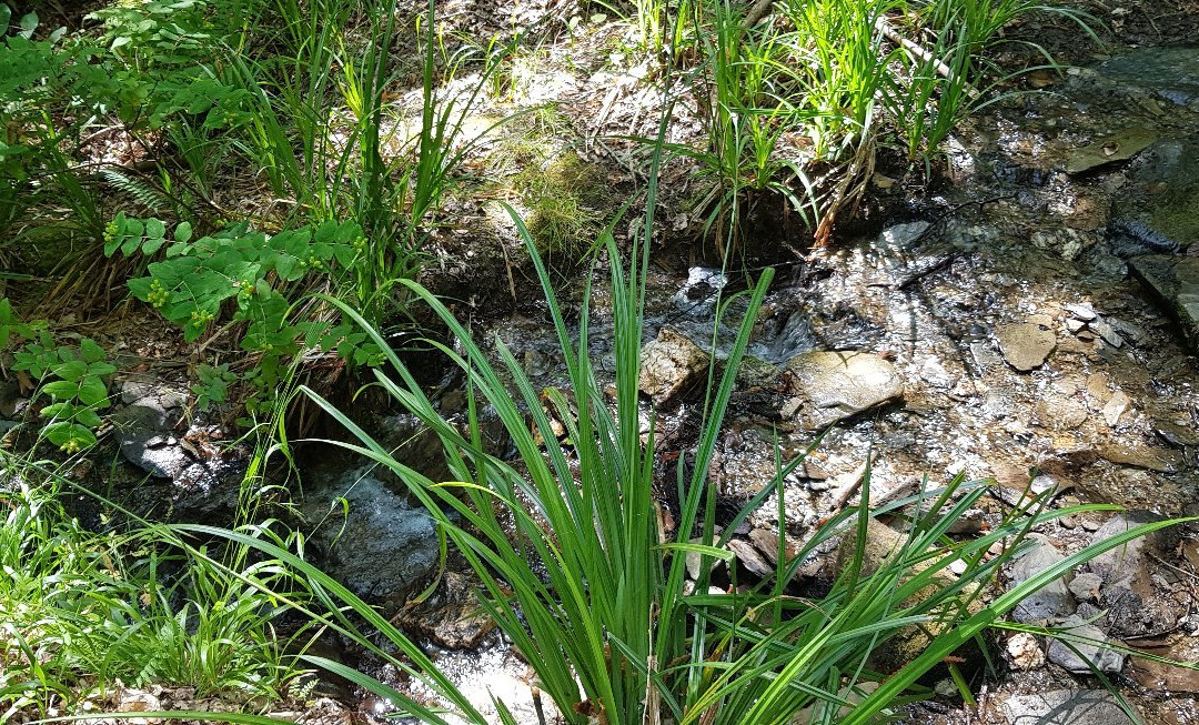 Mata da Margaraça-Arganil必去景点